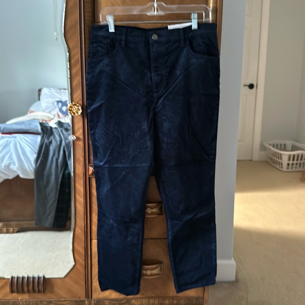 NWT velvet Loft skinny pants